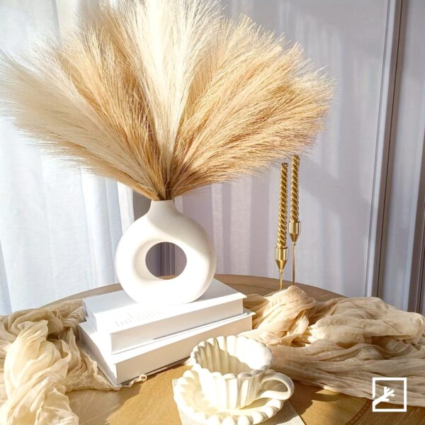 Pampas gras